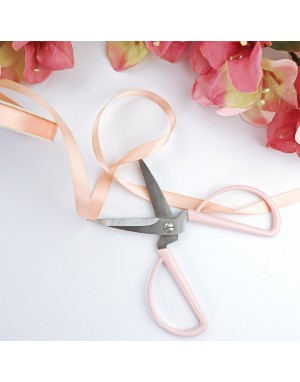 Salmón satin ribbon 2