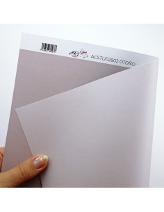 Lobo cardboard | Aridad collection by Alúa Cid