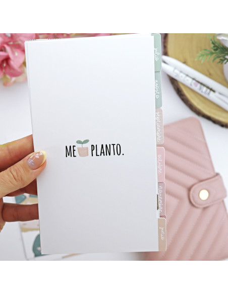 Set of 12 dividers PERSONAL Hasta la concha by Alúa Cid