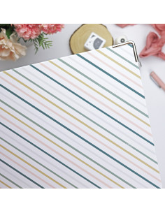 9x12” binder Rayas 2