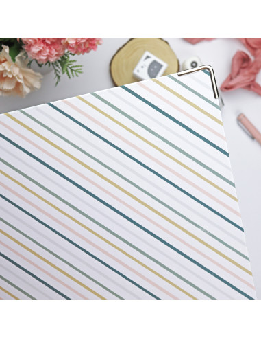 9x12” binder Rayas 9x12” binder Rayas