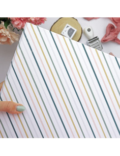 9x12” binder Rayas