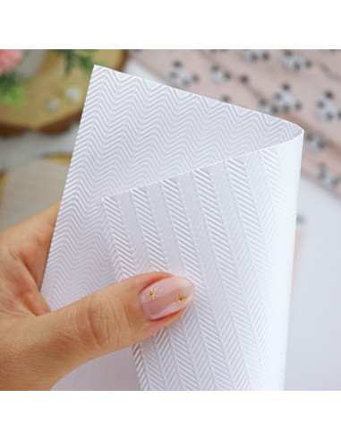 ZigZag Panda emboss folder | Alúa Cid...