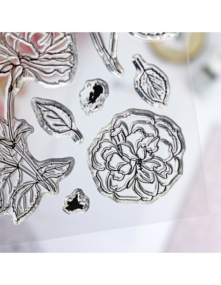 Camelias Clear stamp set