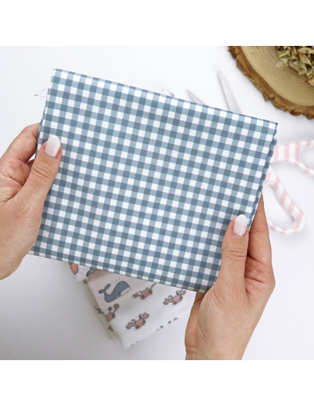 Mini Vichy azul fabric | Alúa Cid