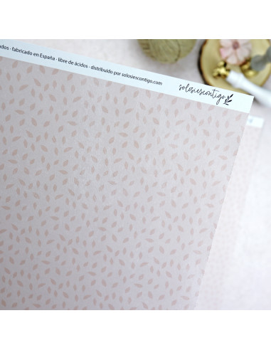 Solosiescontigo Camelias cardboard Solosiescontigo Camelias cardboard