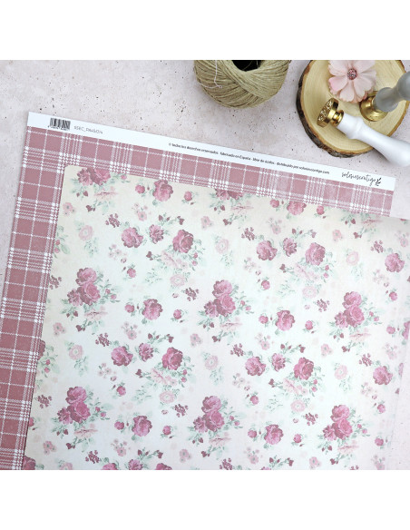 Solosiescontigo Rústica cardboard