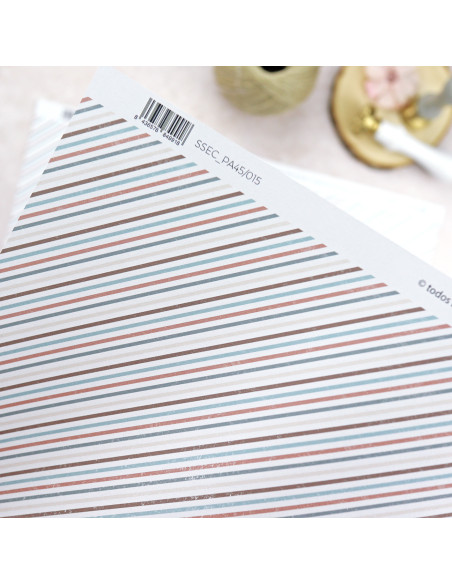 Solosiescontigo Universo cardboard