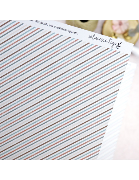 Solosiescontigo Universo cardboard