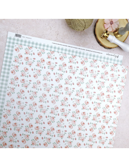 Solosiescontigo Salmón cardboard