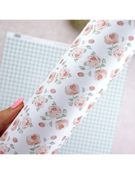 Solosiescontigo Salmón cardboard