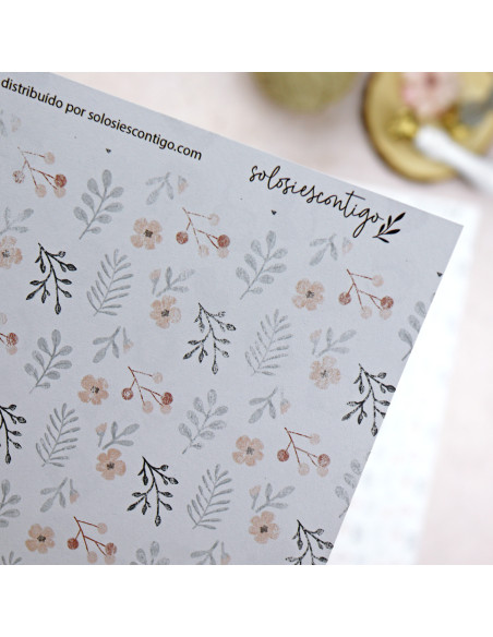 Solosiescontigo Princesas cardboard