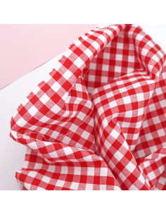 Picnic Vichy fabric