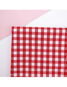 Picnic Vichy fabric 2