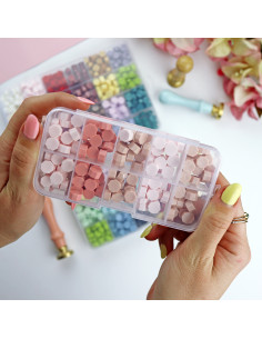 10 Grid Plastic box 2