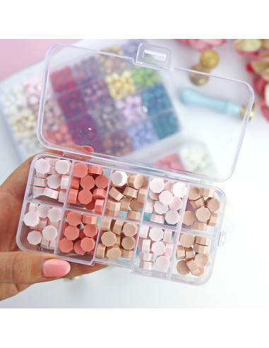 10 Grid Plastic box