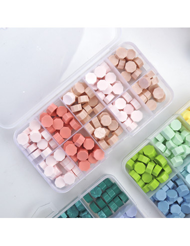 10 Grid Plastic box 10 Grid Plastic box