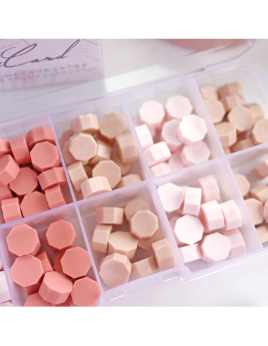 10 Grid Plastic box 10 Grid Plastic box