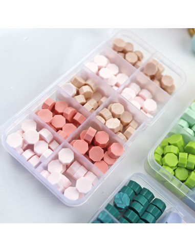 10 Grid Plastic box 10 Grid Plastic box