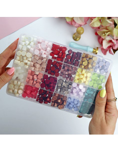 24 Grid Plastic box
