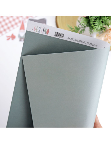 Bosque basic cardboard | Destino collection by Alúa Cid