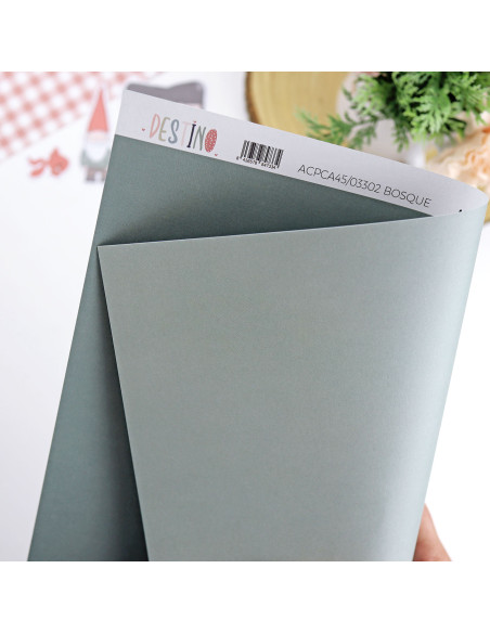 Bosque basic cardboard | Destino collection by Alúa Cid