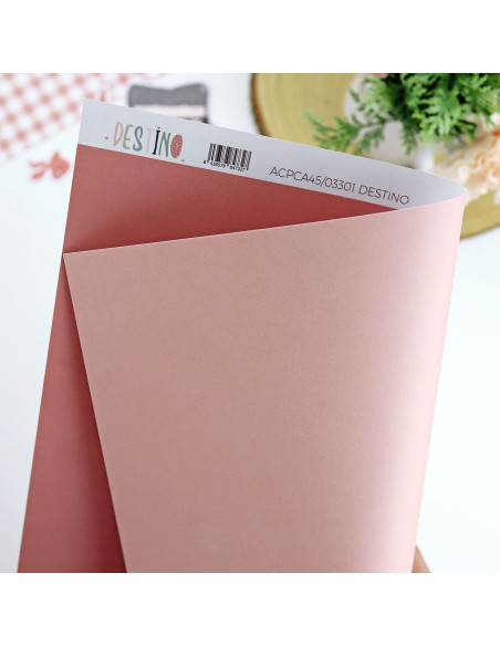 Destino basic cardboard | Destino collection by Alúa Cid