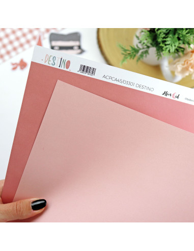 Destino basic cardboard | Destino...