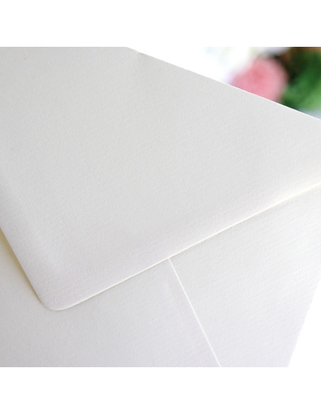 Set of 12 ivory envelopes
