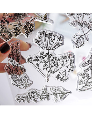 Naturaleza Muerta clear stamp set Naturaleza Muerta clear stamp set
