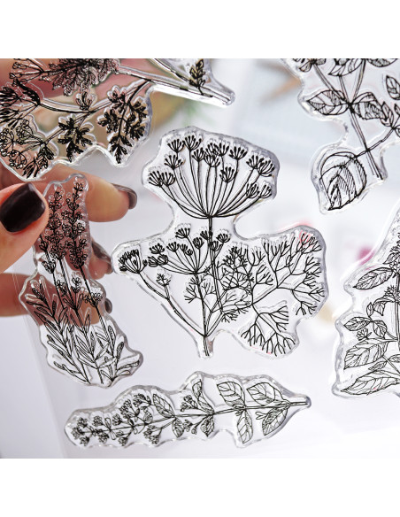 Naturaleza Muerta clear stamp set