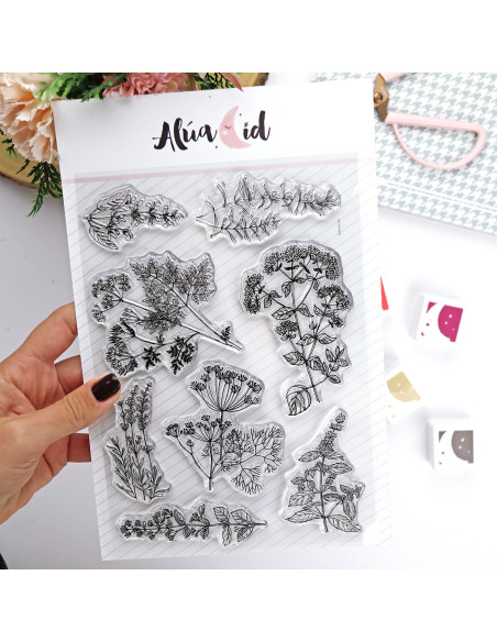 Naturaleza Muerta clear stamp set