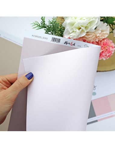 Solid papers kit 2025 | Rita's Diary...