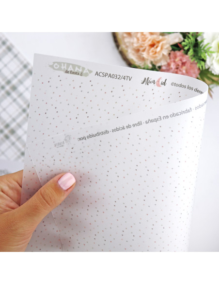 Ohana de fiesta Solid & Special paper Kit of Alúa Cid