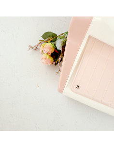 Plate B for CocoMummy 2