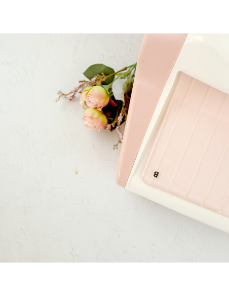 Plate B for CocoMummy