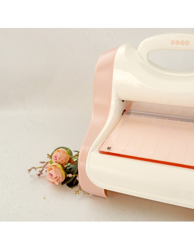 Plate B for CocoMummy