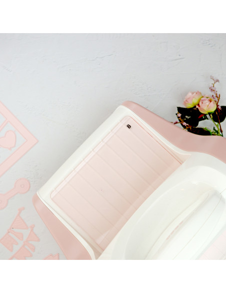 Plate B for CocoMummy