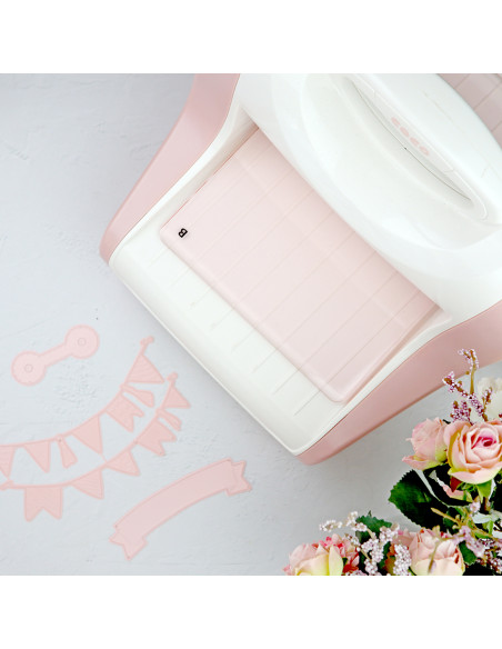 Plate B for CocoMummy