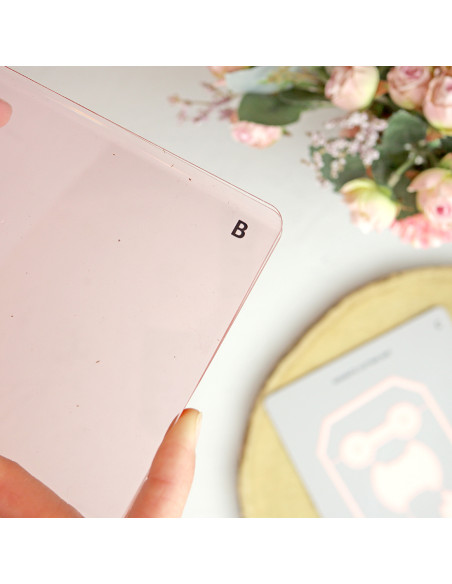 Plate B for CocoMummy