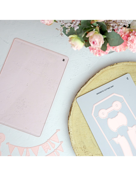 Plate B for CocoMummy