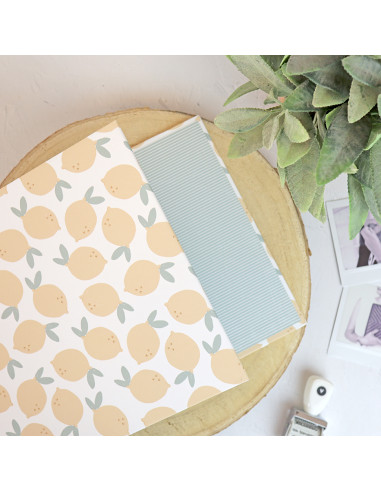 6x8" binder Limonada | Rita's Diary collection