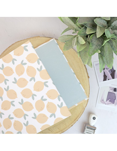 6x8" binder Limonada | Rita's Diary collection