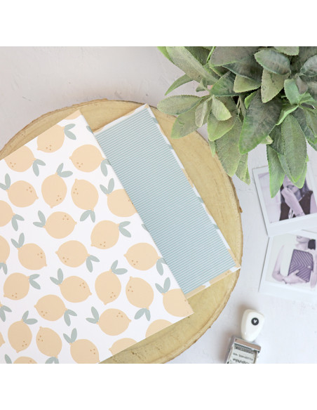 6x8" binder Limonada | Rita's Diary collection