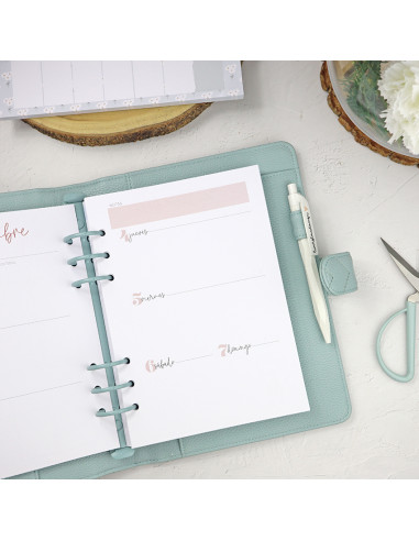 'Escolar 2025' diary insert A5 | Menos es Nada collection 'Escolar 2025' diary insert A5 | Menos es Nada collection