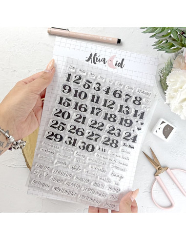 Mi agenda perfecta Clear stamp set Mi agenda perfecta Clear stamp set