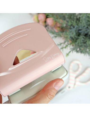 Rita's Diary punch. 2 European holes...