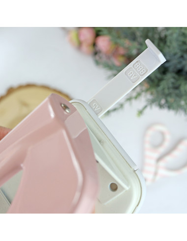 Rita's Diary punch. 2 European holes...