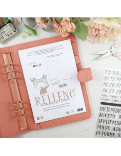 Agenda perpetua Mes Vista diary filler A5