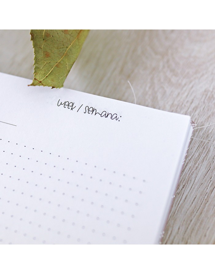 Daily planner refill Daily planner refill